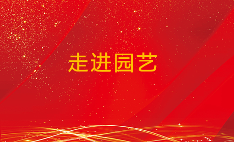 走进园艺