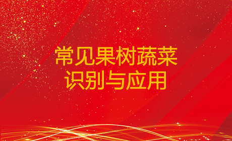 常见果树蔬菜识别与应用