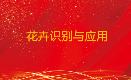 花卉识别与应用